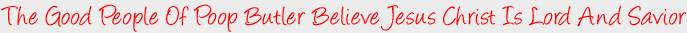 Got Dog Poop? Scheduled Pooper Scooper Service For Your Dogs & Cats In Orange County, California Including Dog Walking